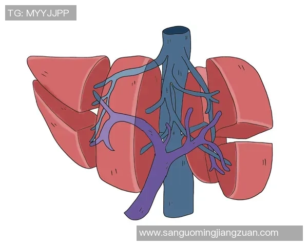 杨娜畅谈CSGO职业生涯与成长历程的深度专访